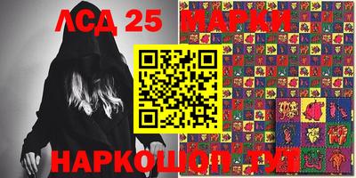 гидра Будённовск