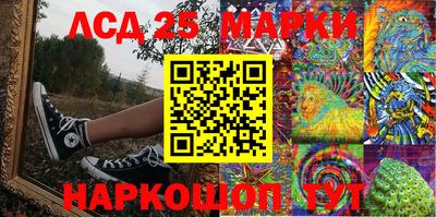 шишки Моздок