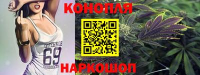 гидра Будённовск