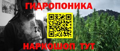 шишки Моздок
