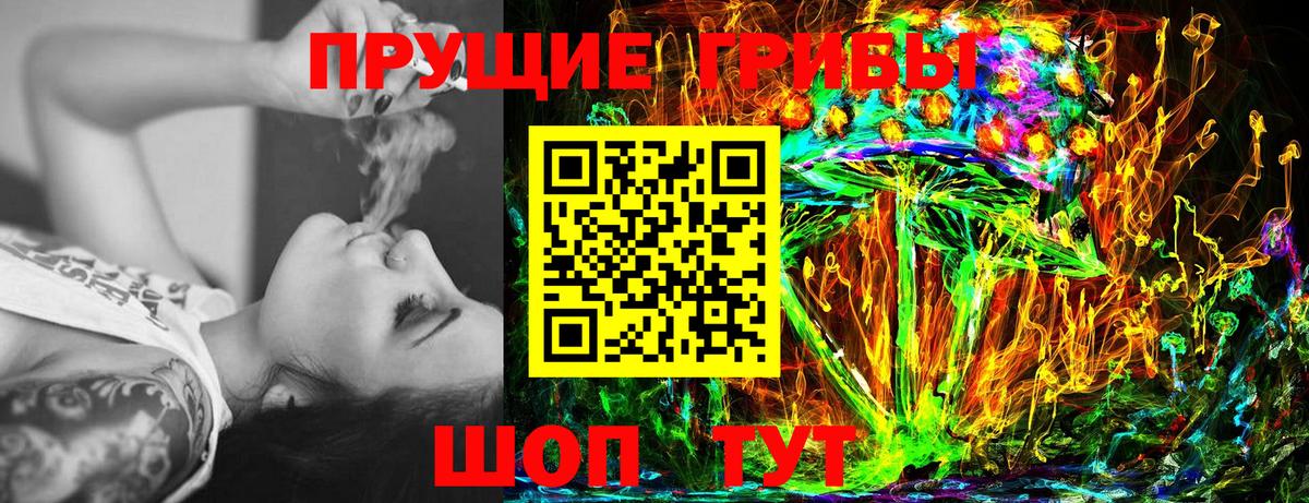 Галлюциногенные грибы Magic Shrooms  Черногорск 