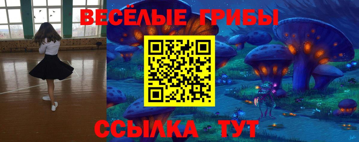 Галлюциногенные грибы Magic Shrooms  Вход с VPN  Черногорск 