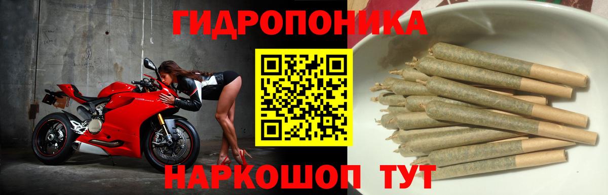 Конопля планчик  Бошки Шишки ГИДРОПОН  Черногорск  Бошки Шишки сатива  Вход с VPN 